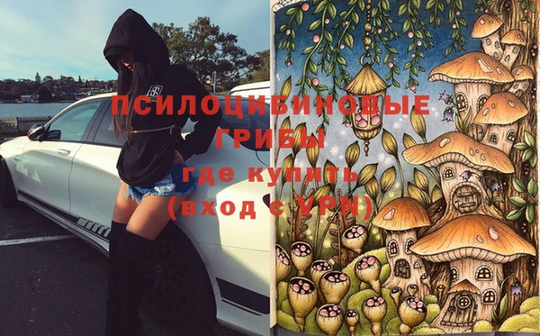 mix Новодвинск